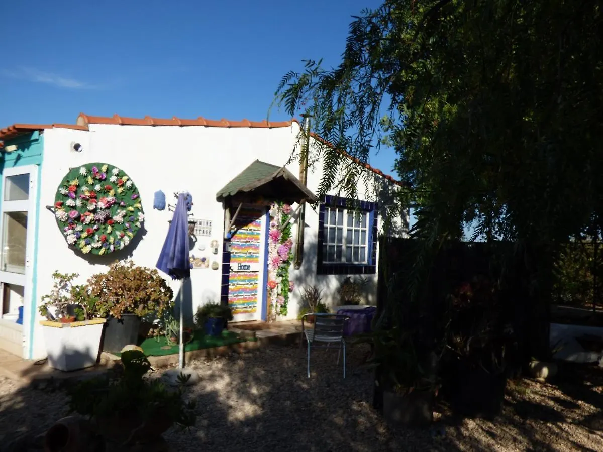 Funky Chicken Farm